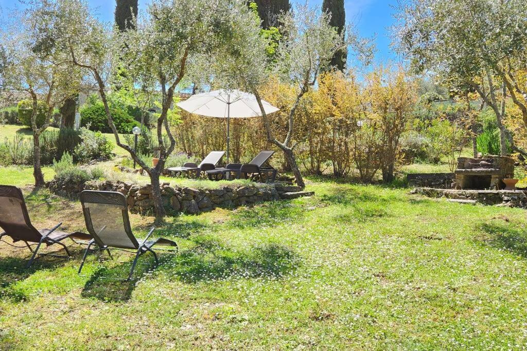 Lindo No Coracao Do Chianti! Apartment *