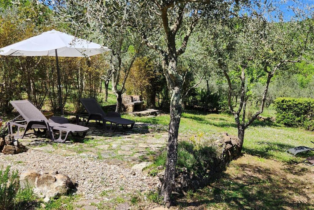 Lindo No Coracao Do Chianti! Apartamento Castellina in Chianti